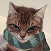 AAAT-DA's avatar