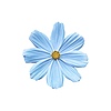 abeermera's avatar