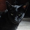 abug09's avatar