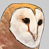 Acirum's avatar