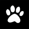 ACTUAL-DOG's avatar