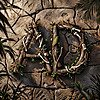 ADCursors's avatar
