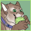 Admin-FS's avatar