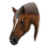 AfraidMe's avatar