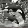 Afrikaans-Orca's avatar