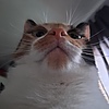 AgentEv1357's avatar
