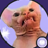 AislinCade's avatar