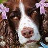 Alevincia's avatar