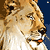 AlexWild's avatar