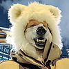 AlexWild's avatar