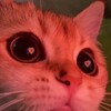 Ali-cat15's avatar