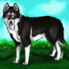 All-Dogs-Kennels's avatar