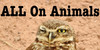 All-On-Animals's avatar