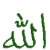 Allahplz's avatar