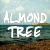 almond-tree's avatar