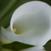 aloenina's avatar