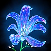 AlonSera's avatar
