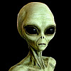 AlternateSite13's avatar