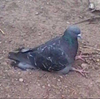 Alyssa6266's avatar