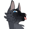 Amande-Dooce's avatar