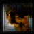 amber-eyes94's avatar