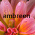 amber0105's avatar