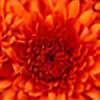 amber93021's avatar