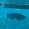 AmberJacks-Aquarium's avatar
