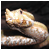 Ammodytes's avatar