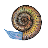 AmmoniteFarouche's avatar