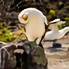 amorrison12's avatar