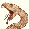 Amphisbaena0's avatar