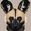anarchius's avatar