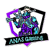 anassgames256's avatar