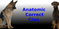AnatomicCorrectClan's avatar