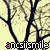 ancsii-smile's avatar