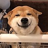 Andres9527's avatar