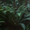 AndriaMorningstar's avatar
