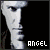 Angel-fan-club's avatar