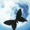 Angel-Moonlightwolf's avatar