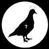 angelpigeon's avatar