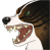 angry-dog-for-life's avatar