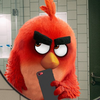 AngryBirdsGumball27's avatar
