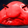AngryBlobfish's avatar