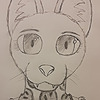 ani-kitty's avatar