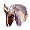 Animalka1's avatar