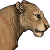 Animallover131989's avatar