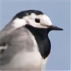 animalphotos's avatar