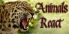 Animals-React's avatar