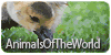 AnimalsofTheWorld's avatar